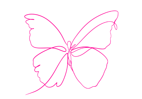 butterfly 2