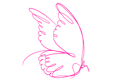 butterfly 3