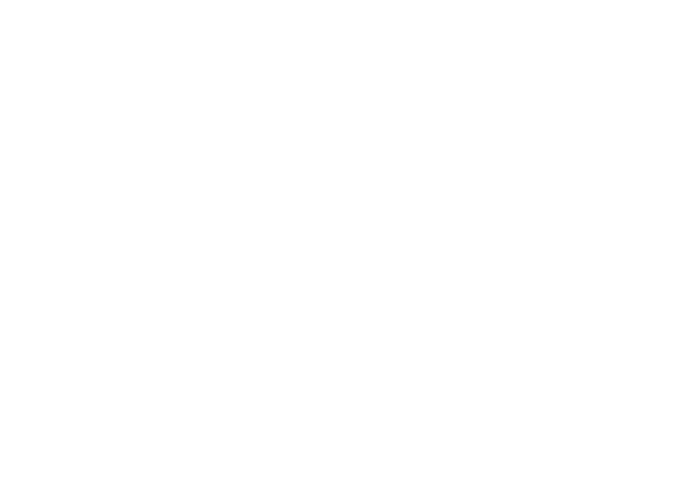 lioness rising 14